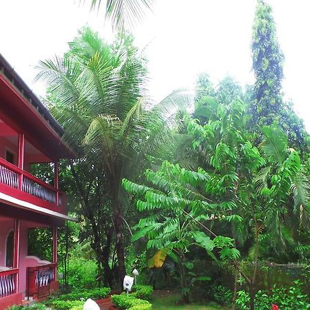 Peter'S Paradise Salcete Exterior photo